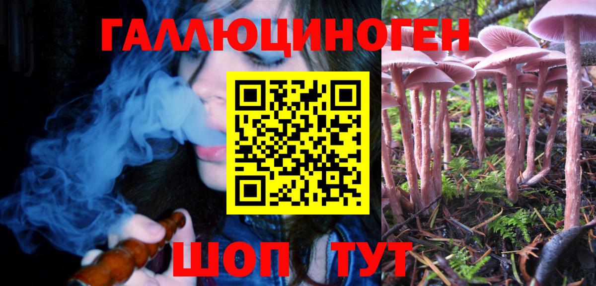 Псилоцибиновые грибы Cubensis Аша